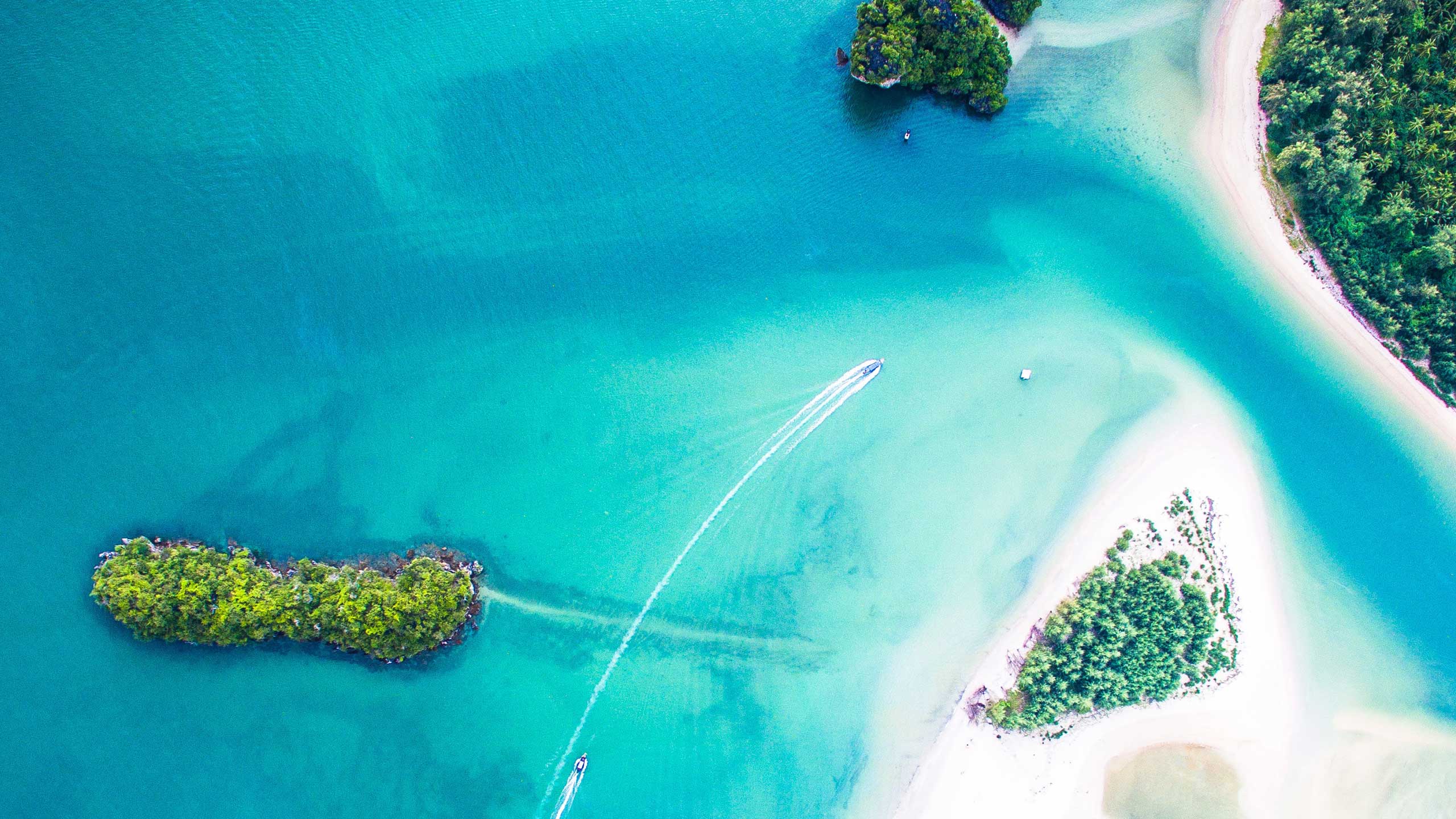 Swansea Travel & Cruise Swansea Travel & Cruise