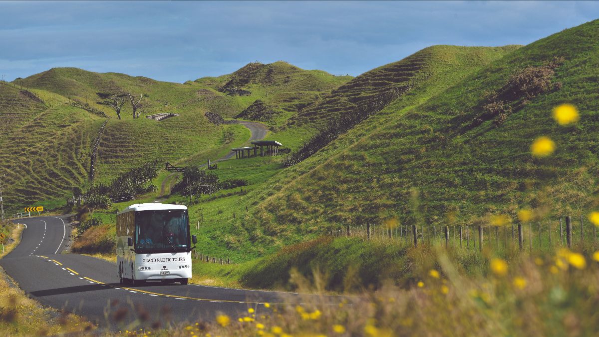 Travel Bus Travel Bus